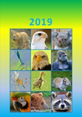 Tier_Kalender_2019_8.pdf